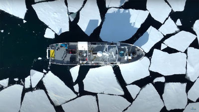 A video still from SeaWorld's Arctic Flying Theater.