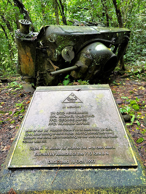 An overturned American tank in the jungle on Peleliu Island. An overturned American tank in the jungle on Peleliu Island.